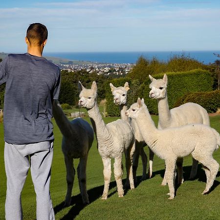 Alpaca Farmstay Dunedin Exteriér fotografie