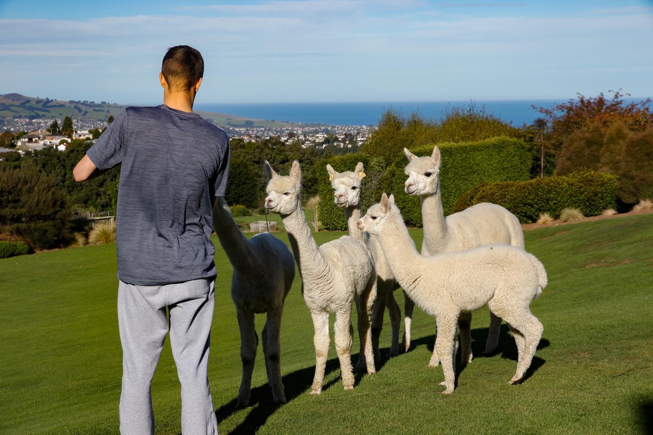 Alpaca Farmstay Dunedin Exteriér fotografie